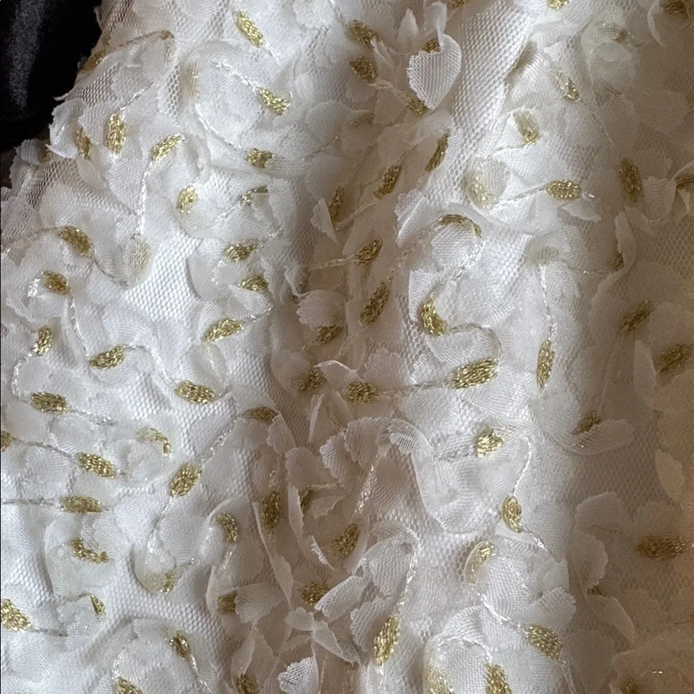 Rare Editions Girls Black Velvet, Cream & Gold Baby Dress with Bloomers size 18M